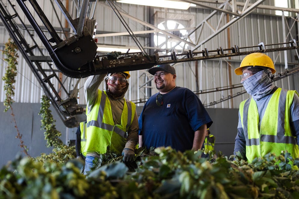 Leon “Junior” Loza talks with workers under a conveyer belt in the processing facility.
