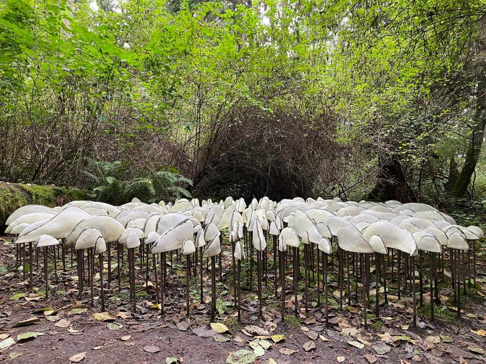 photo of a sculpture of a cluster of white forms in a forest