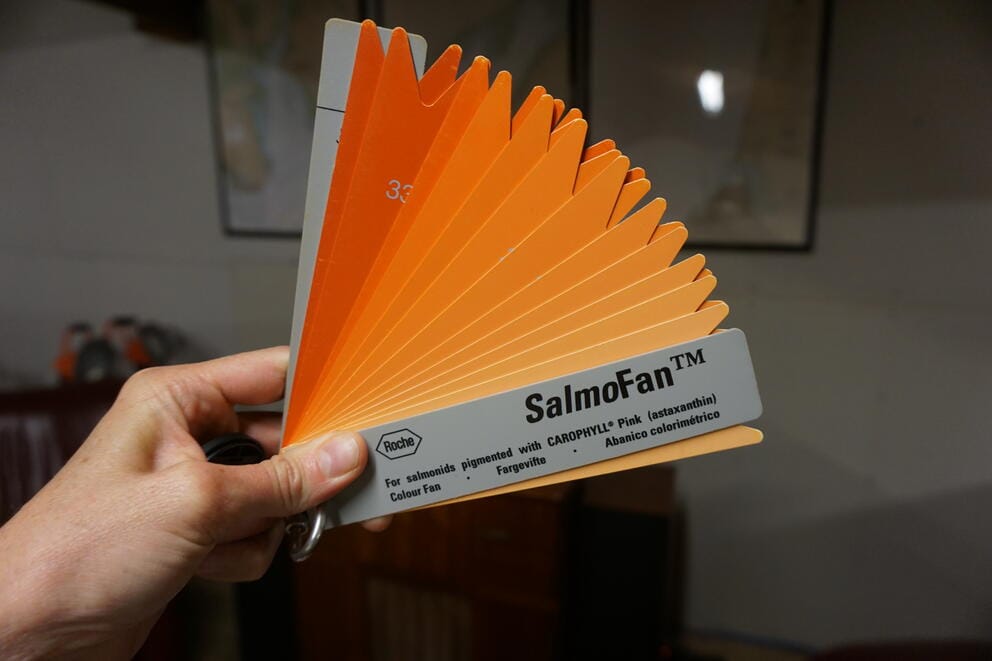 A hand holds a fan showing different gradations of shades of peach.