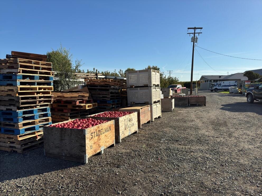 Large wooden crates filled with apples and pallets sit on a gravel lot.