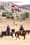 Seeing the USA with Brandy Yanchyk