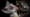 How Nocturnal Bush Babies Survive at Night