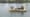 Two Men in a Boat