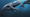 Could This Sperm Whale Eat The Meg?