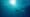 The Fish In The Sea