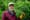Should WA’s foresters harvest timber or sell it for carbon credits?